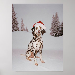 Festive Pup Poster
