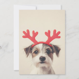 Festive Pup with Reindeer Antlers Invitation
