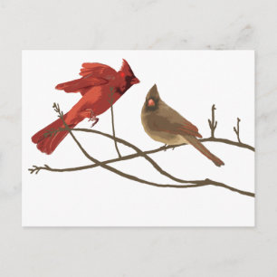 Festive Red Cardinals Postcard