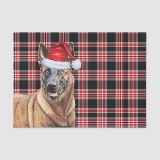 Festive Red Plaid Belgian Malinois Dog Christmas Tissue Paper (Front)
