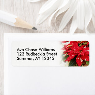 Festive Red White Floral Poinsettias