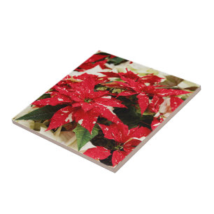 Festive Red White Floral Poinsettias Tile