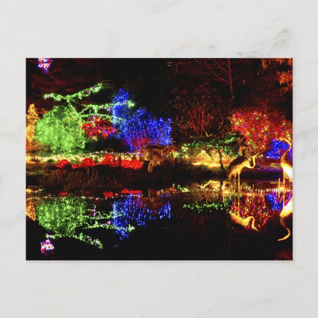 Festive Reflections - Shore Acres State Park OR Postcard (Front)