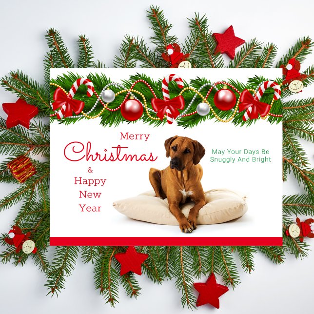  Festive Rhodesian Ridgeback Christmas Postcard (Rhodesian Ridgeback Christmas Card)
