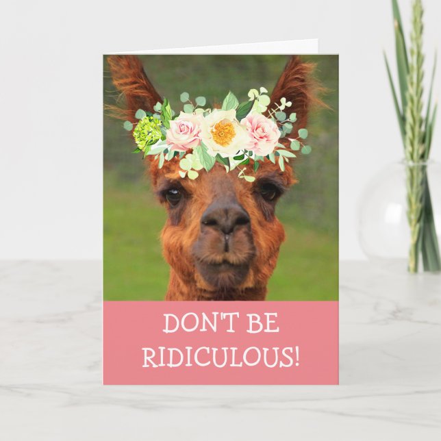 Festive Silly Llama Get Well Card (Front)