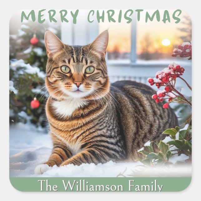Festive Tabby Cat In Snow Cute Animal Christmas Square Sticker (Front)