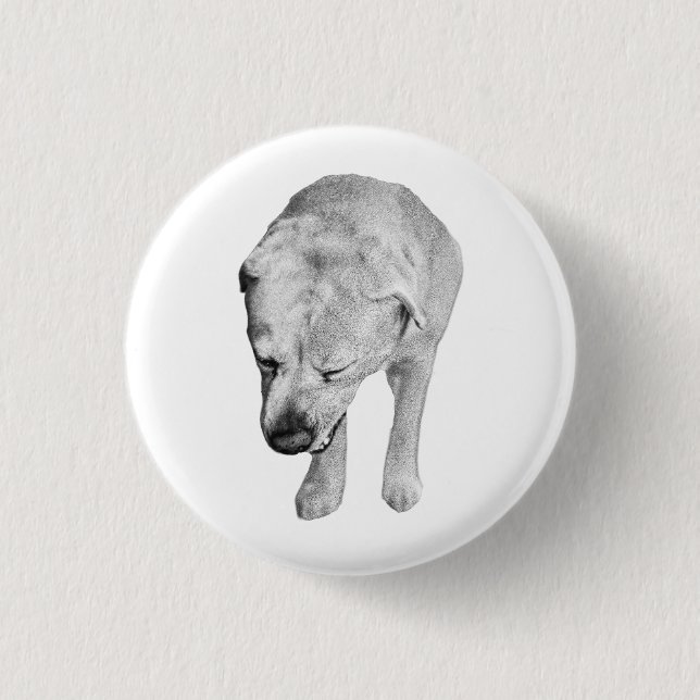 Festive Wink, Shaded Lab Badge 1 Inch Round Button (Front)