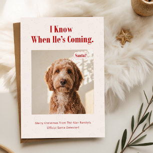 Festive Winter Santa Dog Photo Christmas Holiday Postcard