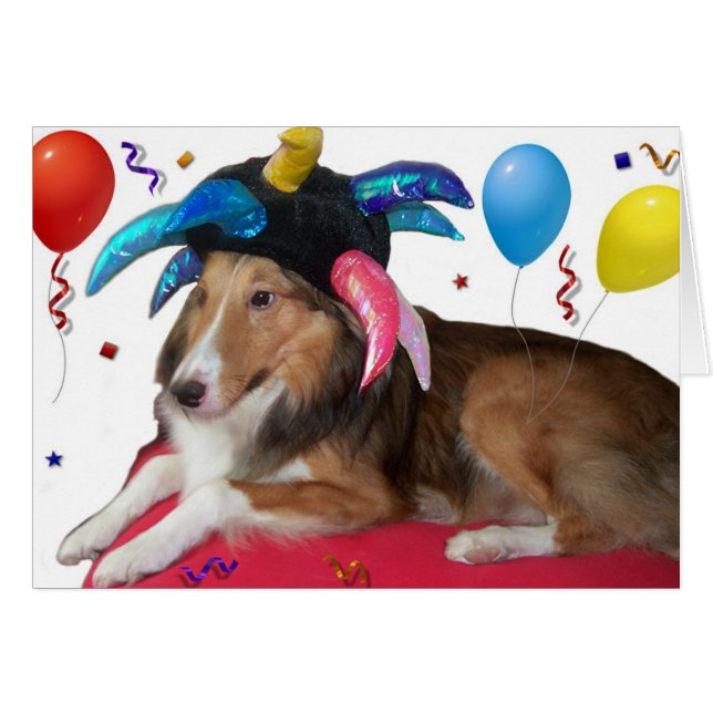 Fêtard (Devant horizontal)