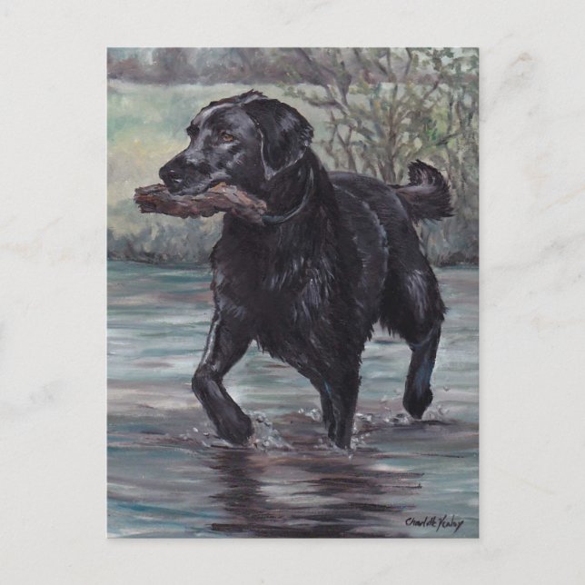 Fetch Black Labrador Retriever Dog Art Postcard (Front)