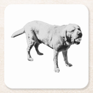 Fetch Pause Square Paper Coaster