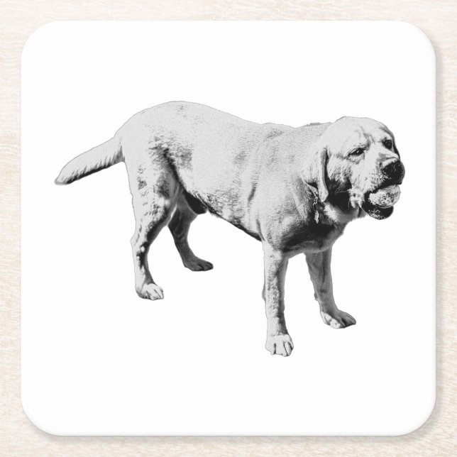 Fetch Pause Square Paper Coaster (Front)