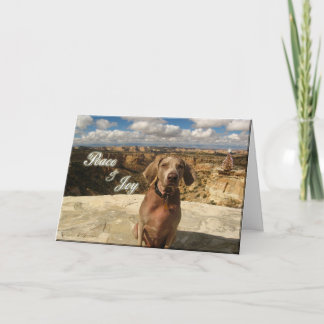 Fetch Peace and Joy Holiday Card