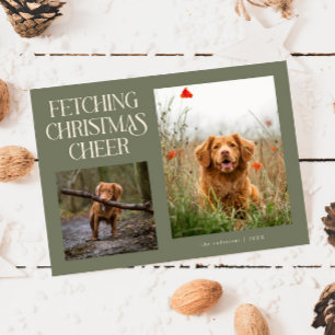 Fetching Christmas Cheer Sage Green Dog Photo  Holiday Card