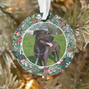 Fête Animaux Festive Wreath Photo personnalisée
