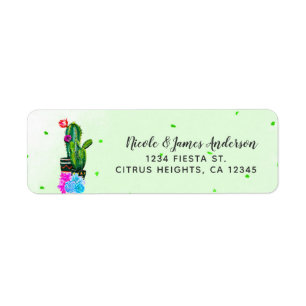 Fête aux rayures vives Succulentes Cinco de Mayo