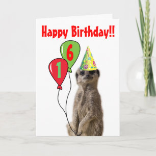 Fête comme une carte d'anniversaire Meerkat