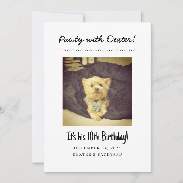 Fête d'anniversaire de chien - Invitation amusante (Devant)