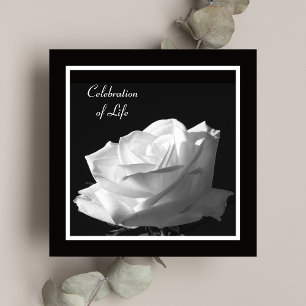 Fête de la vie Invitation