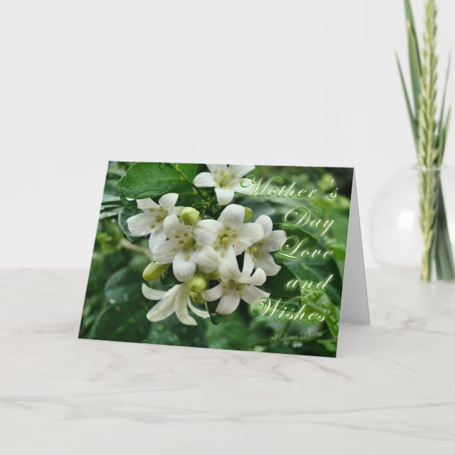 Fête des mères Carte Jasmin (Devant)