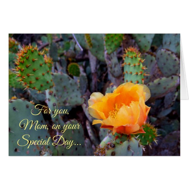 Fête des Mères de Cactus Fleur de Prickly Orange (Devant horizontal)