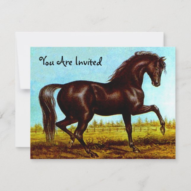 Fête du Cheval de Beauté noire Invitations à n'imp (Devant)
