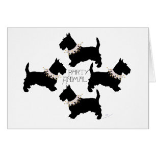 Fête du Terrier Écossais