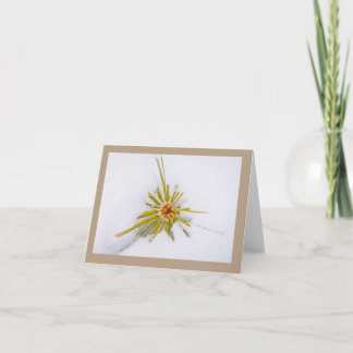 Fêtes Annuelles Cartes de notes pour la Sierra orientale