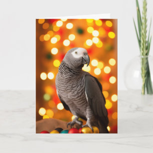 Fêtes Annuelles Cartes de vacances pour perroquet gris africain