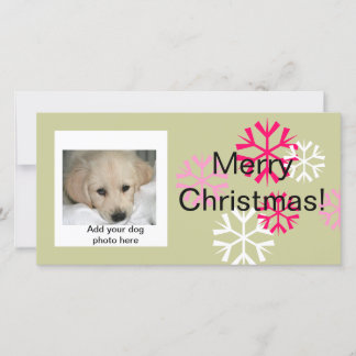 Fêtes Annuelles Cartes photos de Noël personnalisées pour chien ro