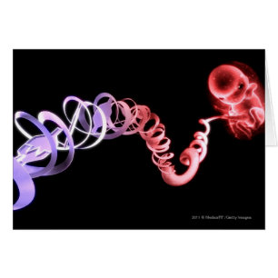 Fetus with an umbilical cord made of DNA strands