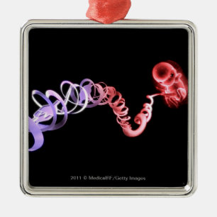 Fetus with an umbilical cord made of DNA strands Metal Ornament
