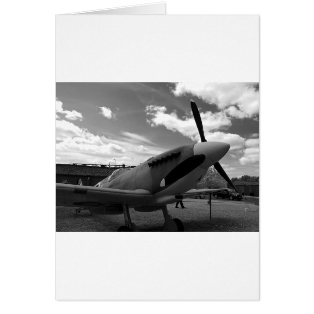 Feu d'éclat de supermarine (Devant)