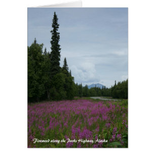 Feu d'herbe le long de Parks Highway (Alaska)