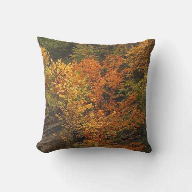 Feuillage d'automne au coussin extérieur de parc (Recto)