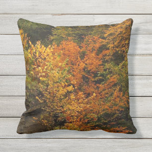 Feuillage d'automne au coussin extérieur de parc
