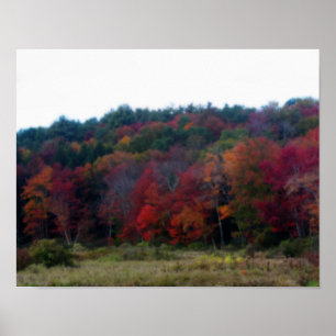 Feuillage d'automne dans Field Nature Poster