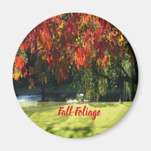 Feuillage d'automne de Boston Magnet