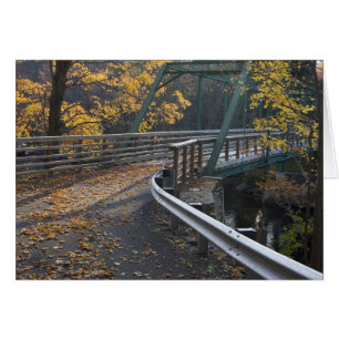 Feuillage d'automne et un pont sur les Millers