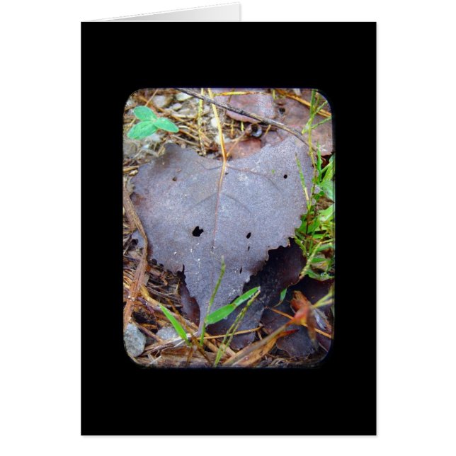 Feuille (Devant)