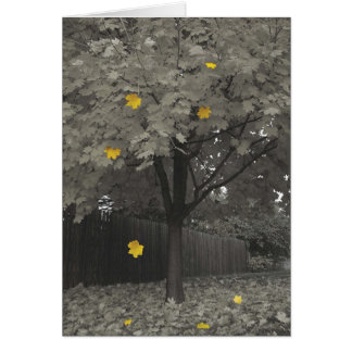 Feuille d'automne