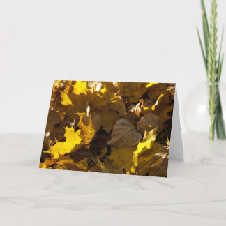 Feuille d'automne - carte
