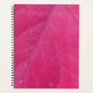 Feuille d'automne pourpre