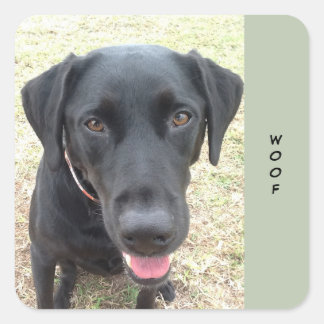Feuille de 20 Stickers Woof Black Lab