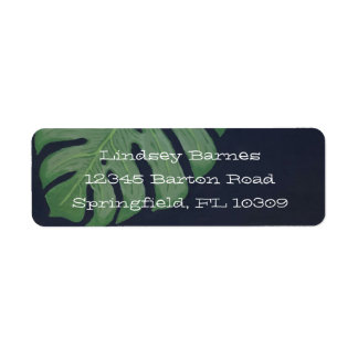 Feuille de Monstera