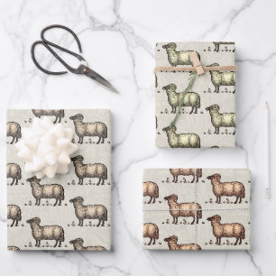 Feuille De Papier Cadeau Agneau de mouton Vintage animal de ferme
