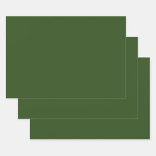 Feuille De Papier Cadeau Algues (couleur solide)