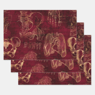 Feuille De Papier Cadeau Anatomie rouge et or en rouge