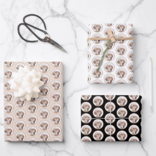 Feuille De Papier Cadeau Anglais Setter Orange Belton Peinture Chien Art