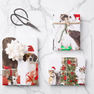 Feuille De Papier Cadeau Animaux de compagnie avec chapeaux de Père Noël en